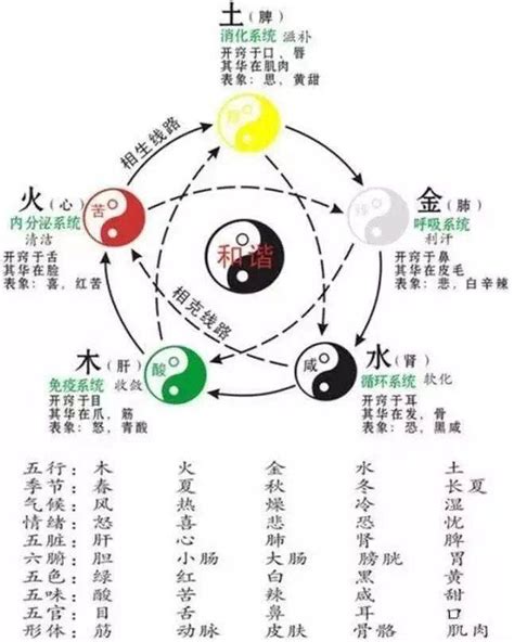 属火的东西|「万物类象」金、水、木、火、土五行取象